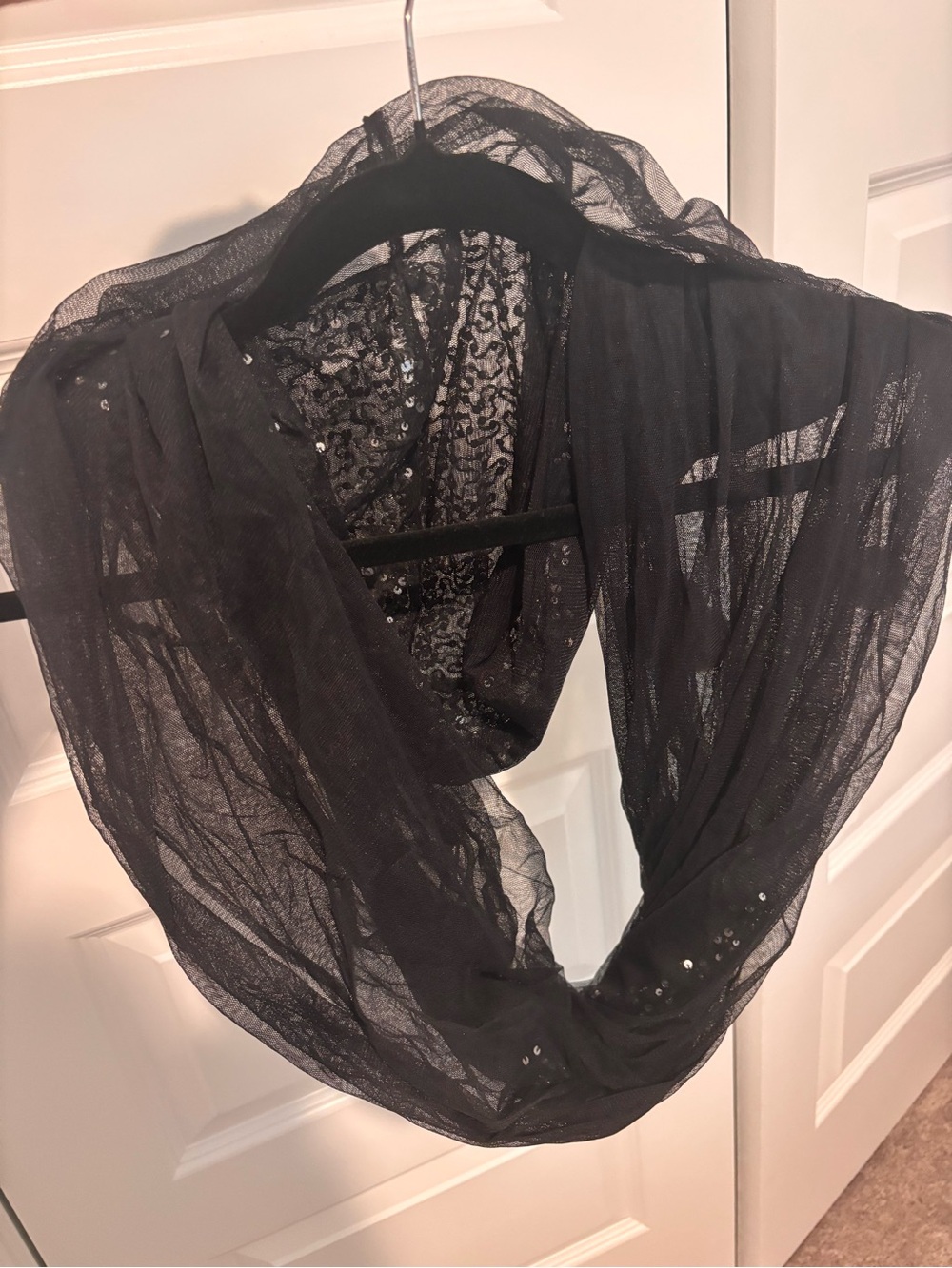 Badgley Mischka Black Sheer Sequin Infinity Scarf